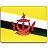 Brunei flag 