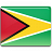 Guyana flag 