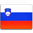 Slovenia flag 