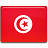 Tunisia flag 