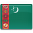 Turkmenistan flag 