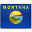 Montana Flag 