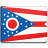 Ohio Flag 